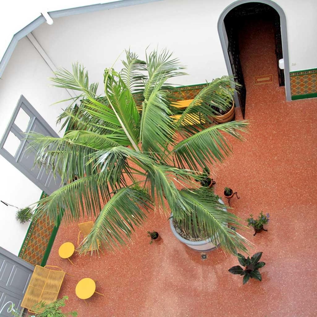 Coliving 1907 Otel Las Palmas de Gran Canaria Dış mekan fotoğraf